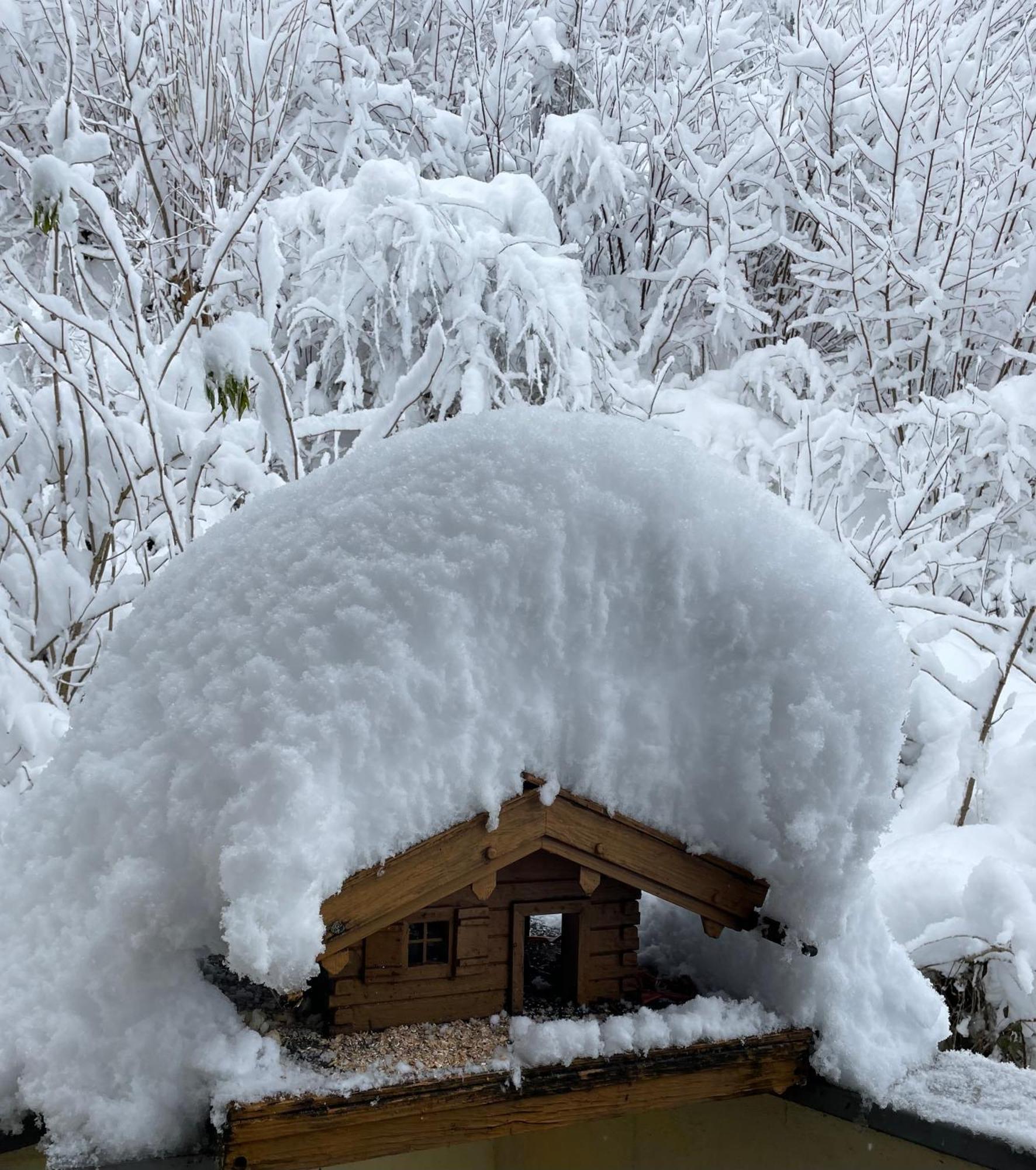 Ferienwohnung Mondial Neustift im Stubaital Extérieur photo