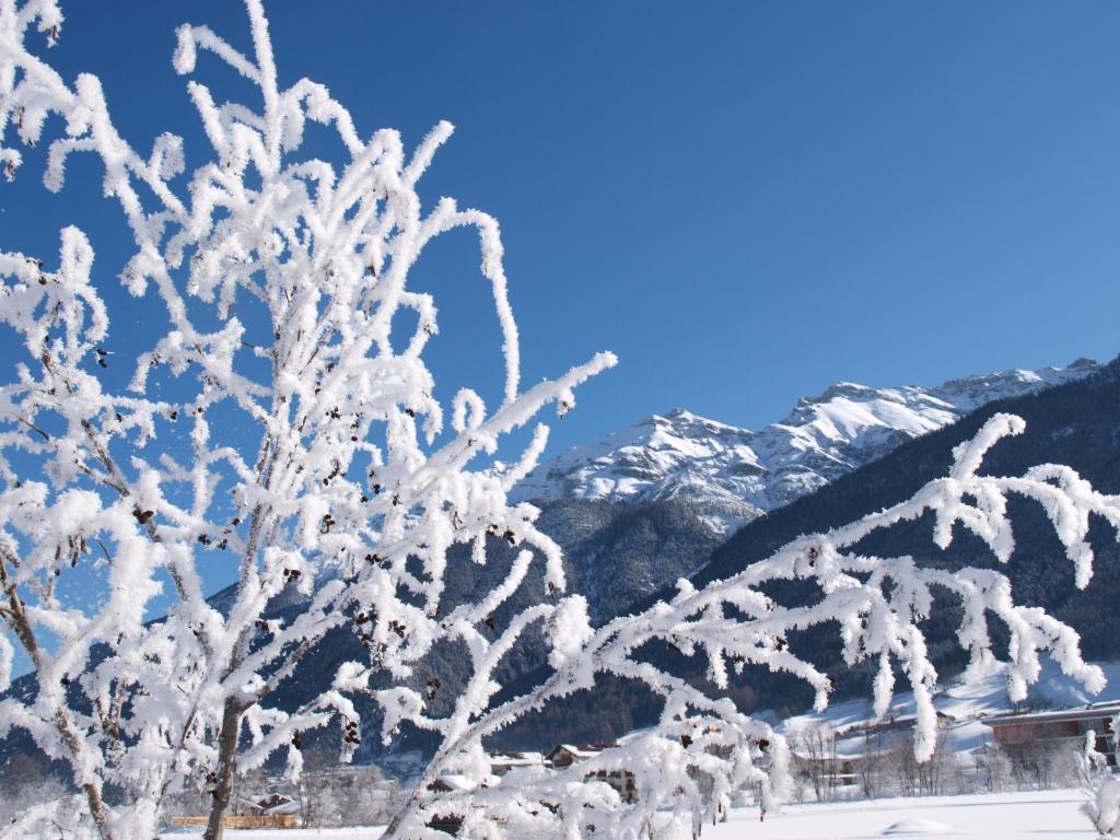 Ferienwohnung Mondial Neustift im Stubaital Extérieur photo